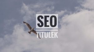 seo title seo titulek meta titulek